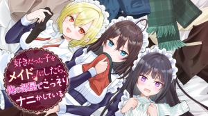Suki datta Ko o Maid ni Shitara, Ore no Heya de Kossori Nanika Shiteiru